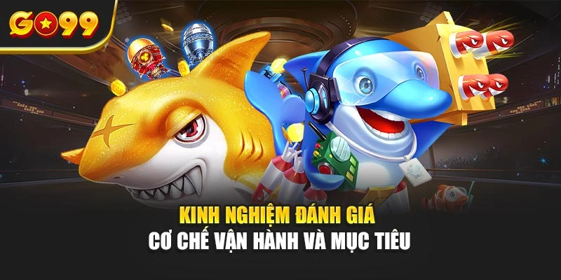 Kinh nghiệm đánh giá cơ chế vận hành và mục tiêu