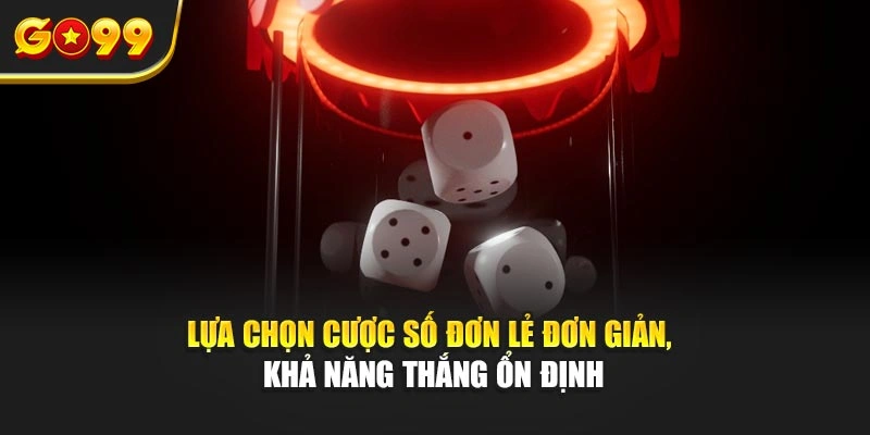 Lựa chọn cược số đơn lẻ đơn giản, khả năng thắng ổn định